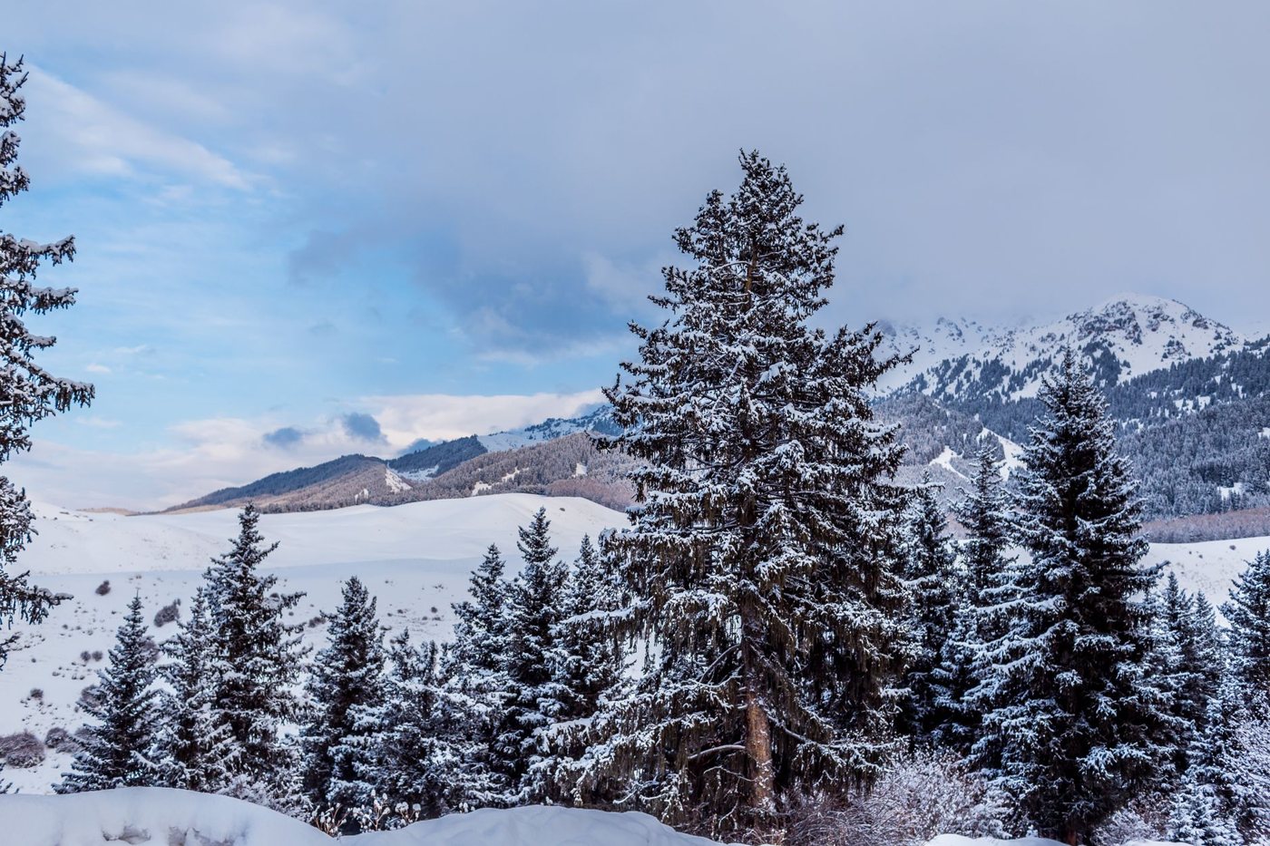 Karakol