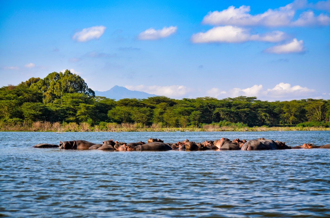 Nakuru