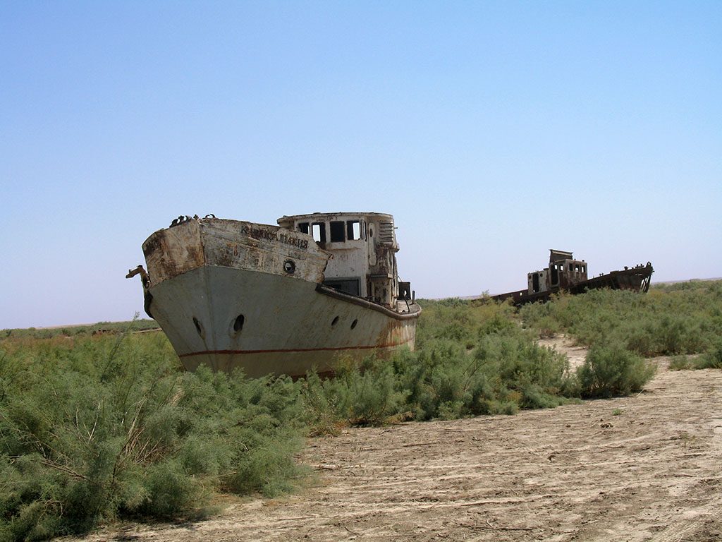 Moynaq