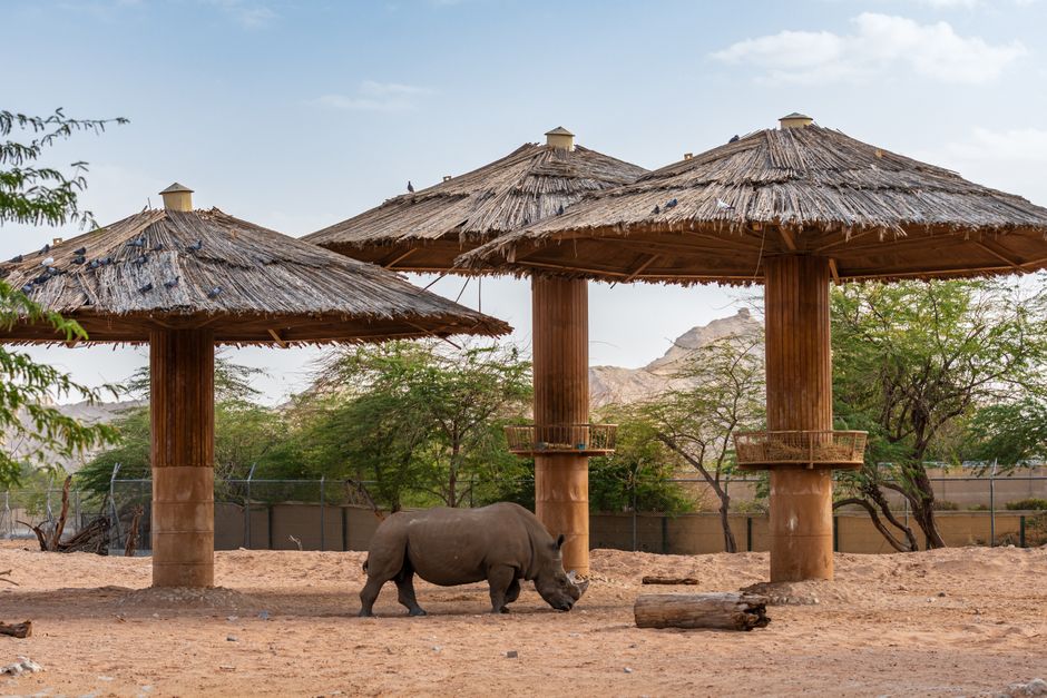 Zoo