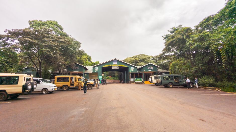 Serengeti Gateway