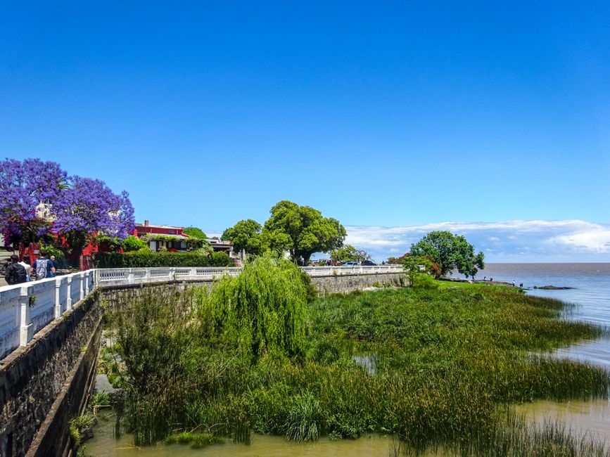Costanera de Asuncion