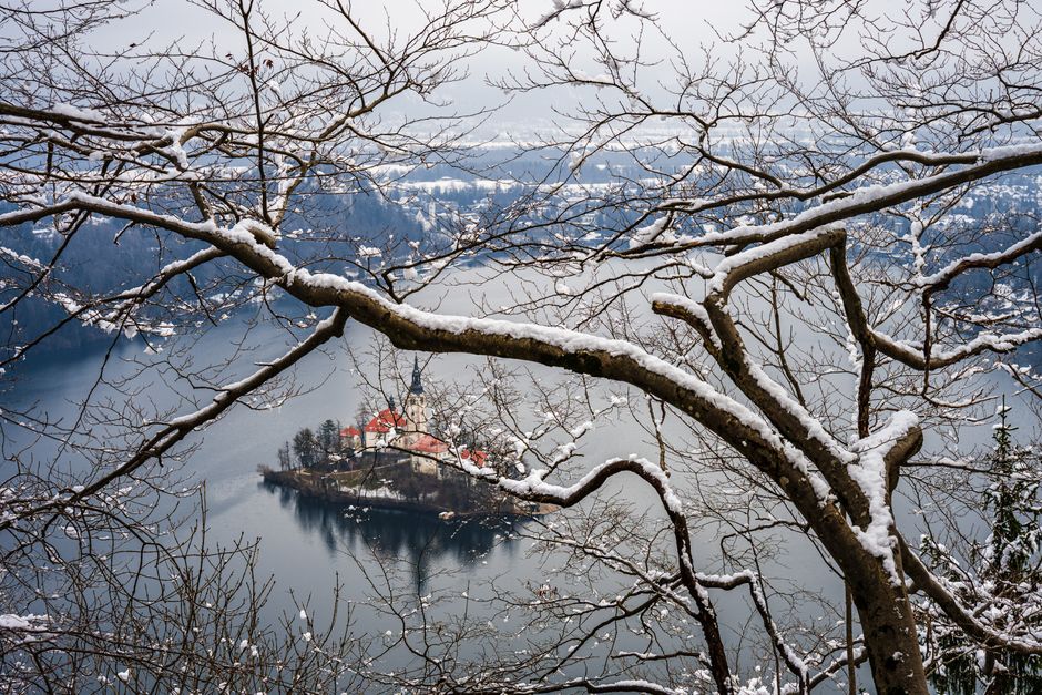 Bled Island