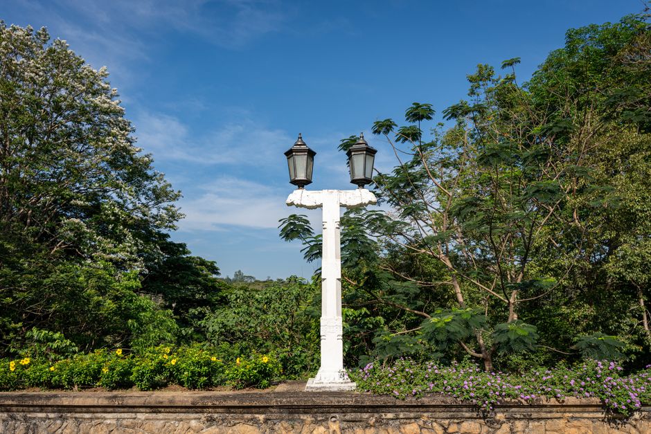 Royal Botanical Gardens Peradeniya