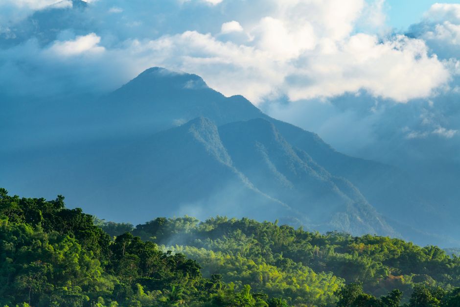 Blue Mountains Jamaica