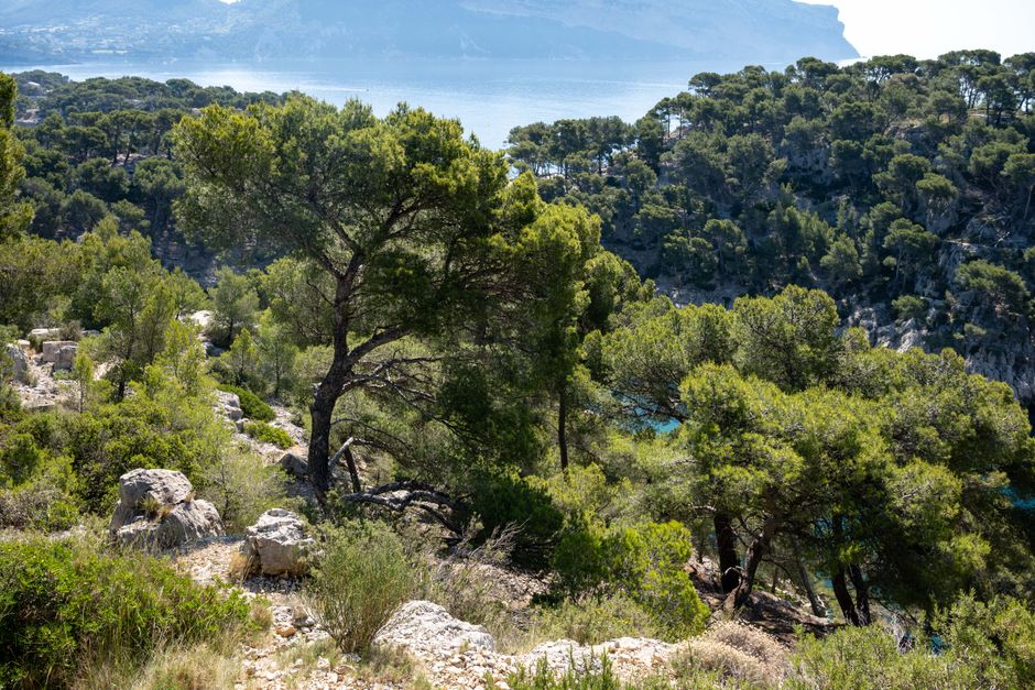 Calanques National Park