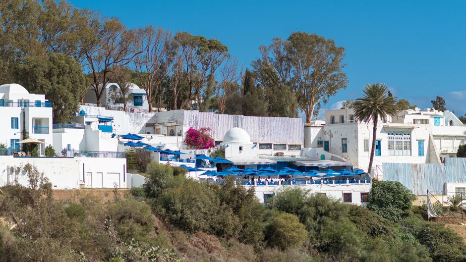 Ennejma Ezzahra Palace