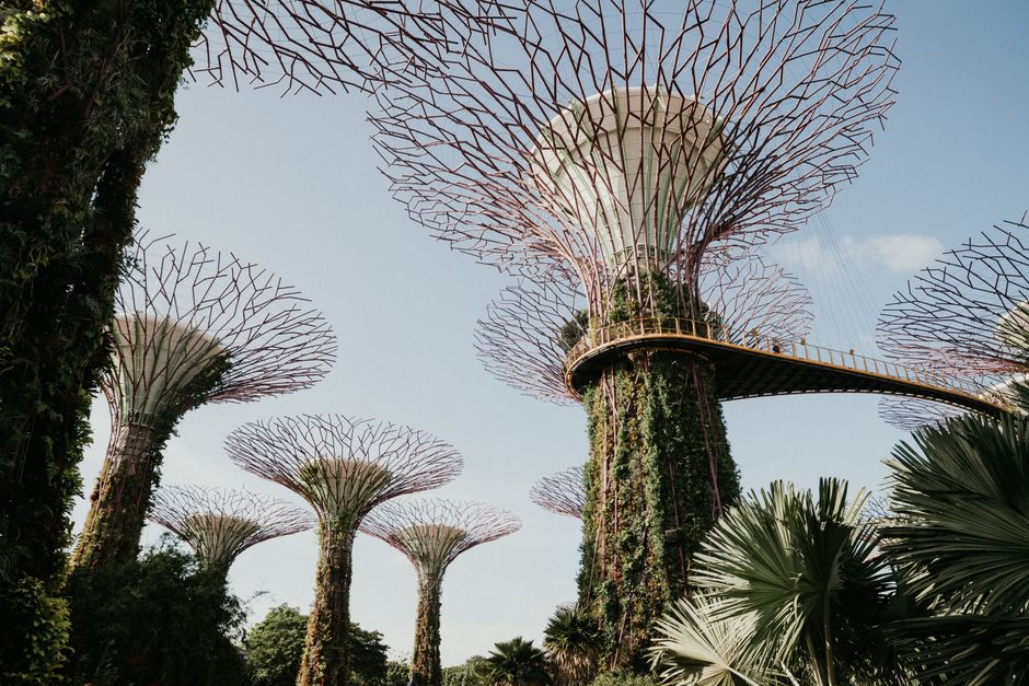 Singapore Botanic Gardens