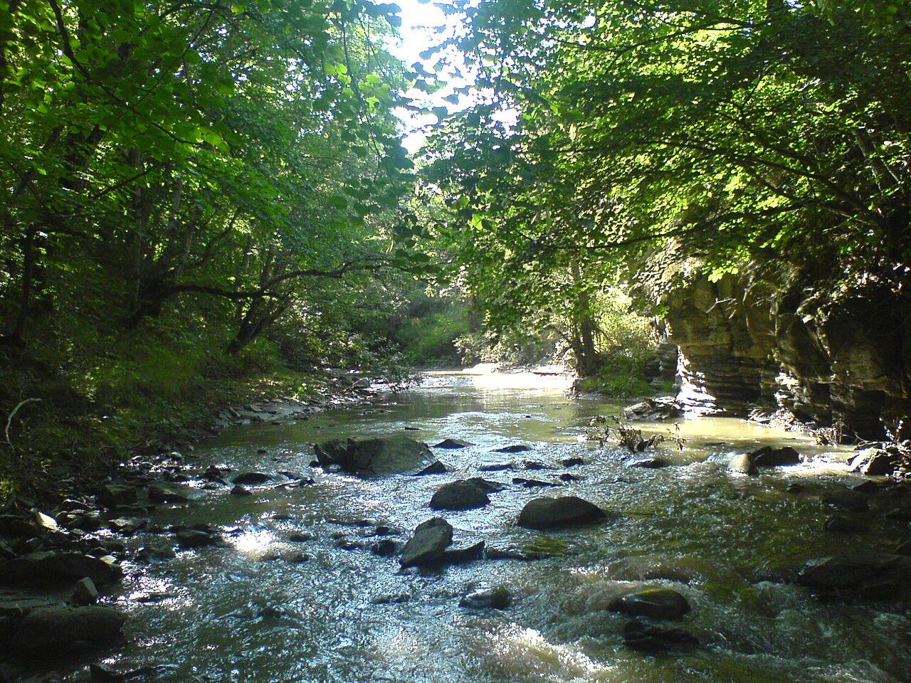 Algeti National Park
