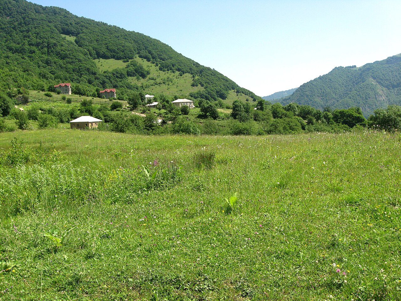 Qechresh Forest