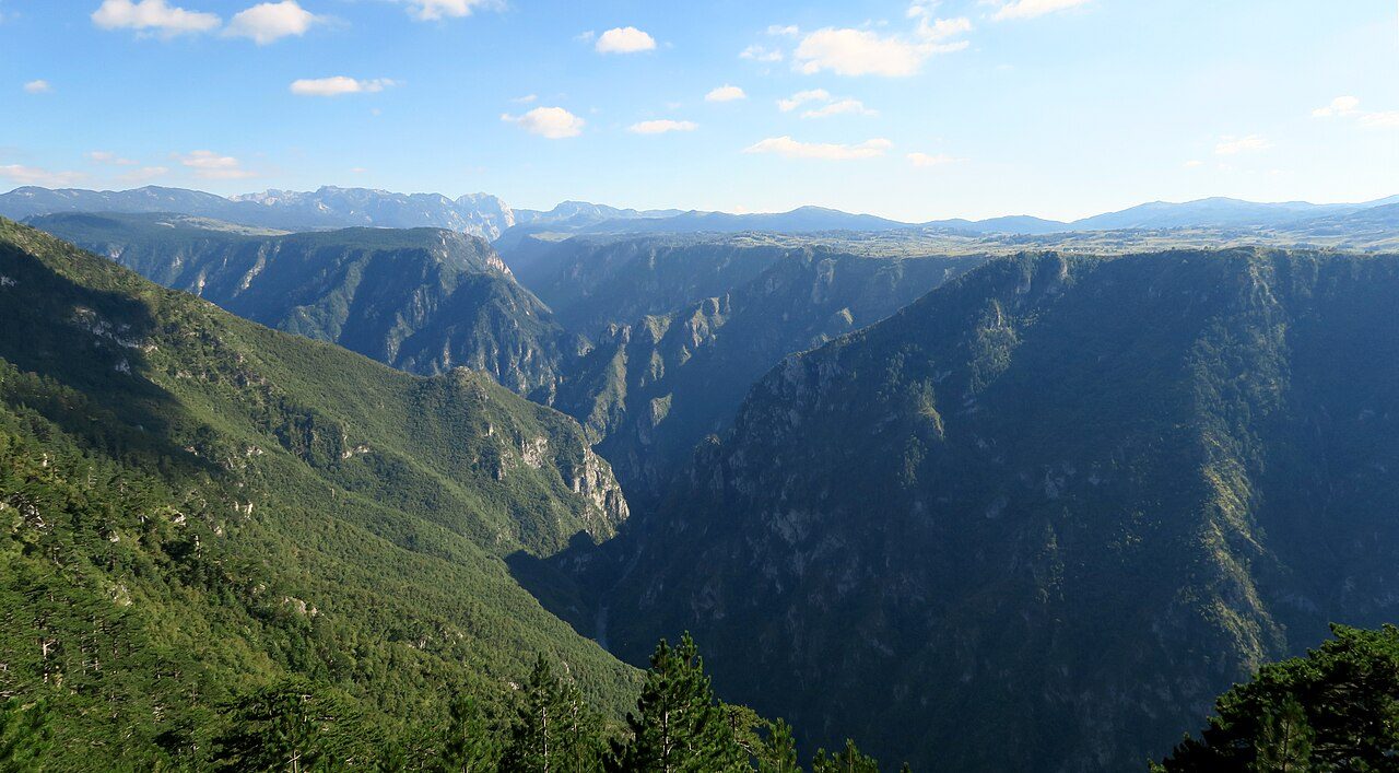 Tara River Canyon