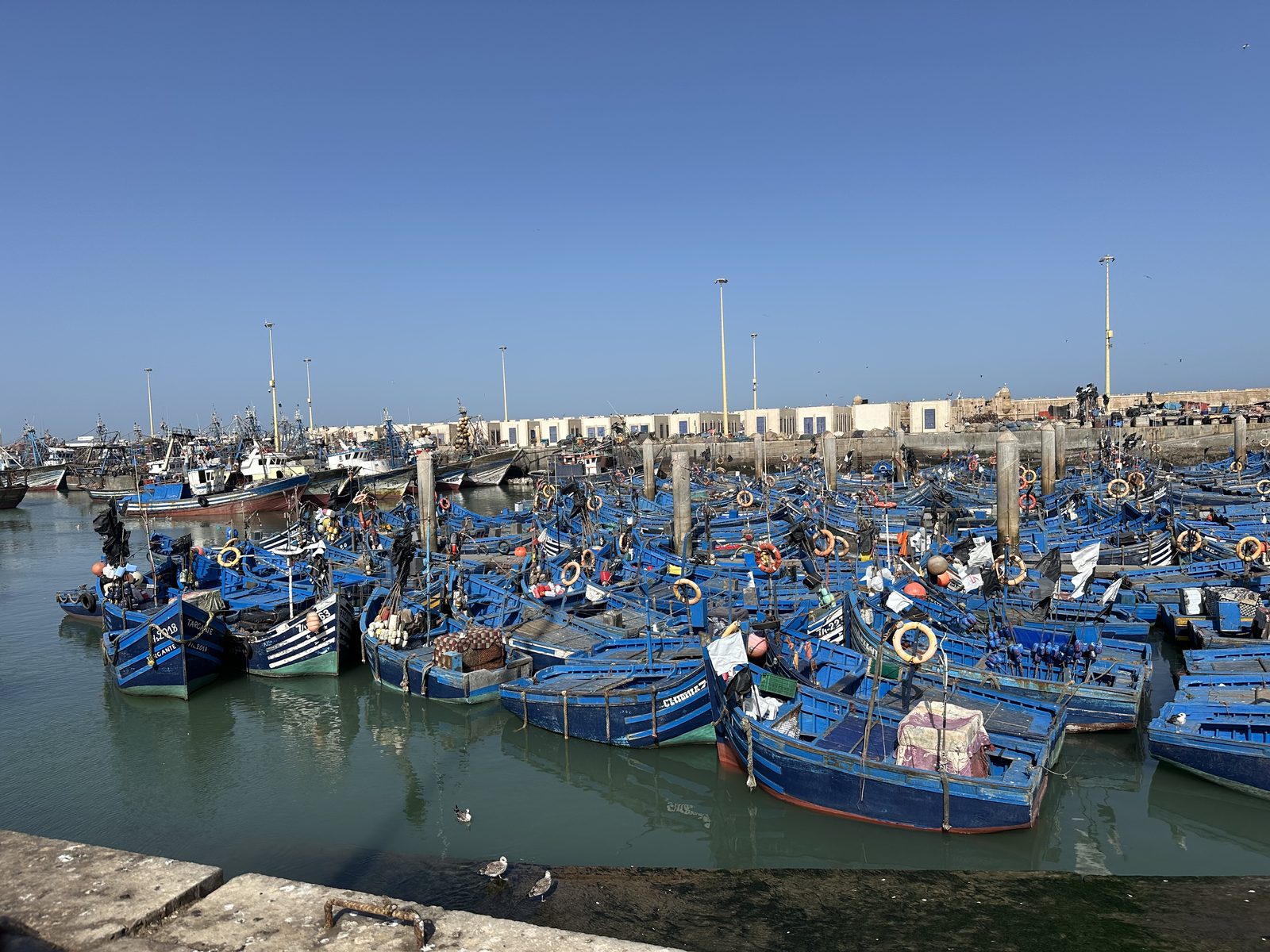 Day trip to Essaouira from Marrakech 