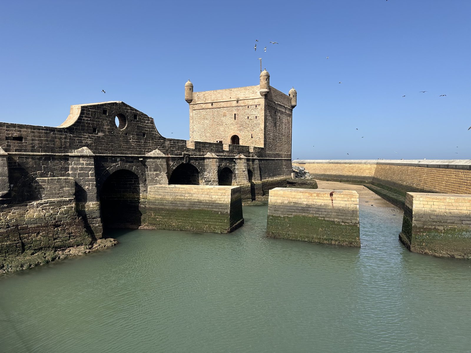Day trip to Essaouira from Marrakech  – photo 2